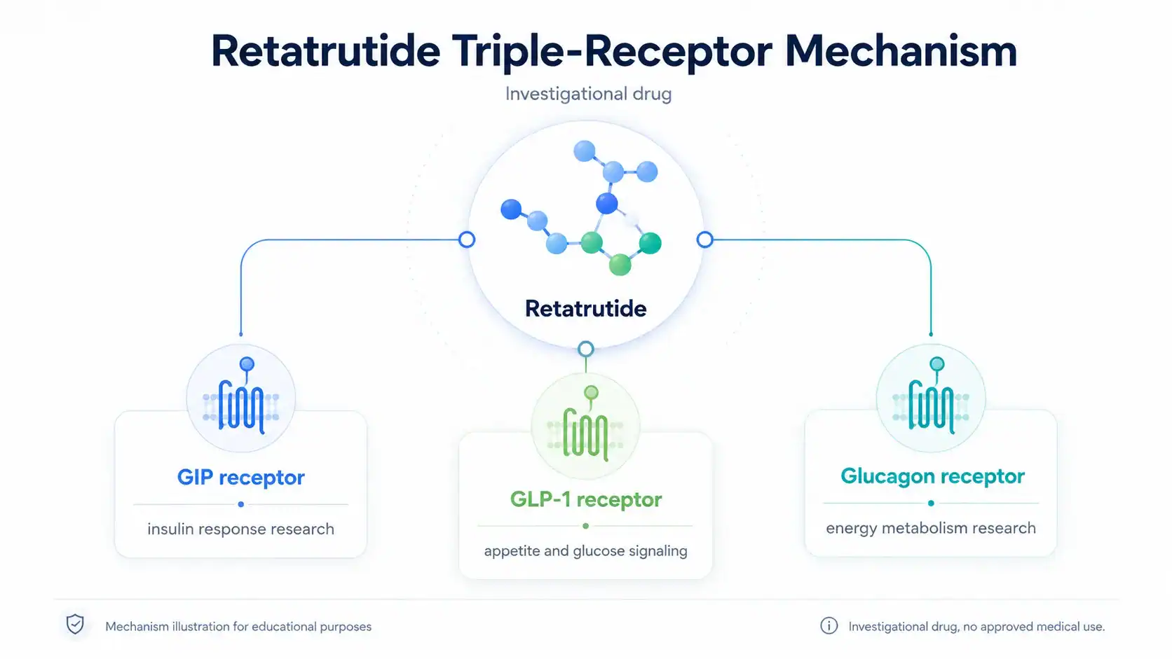 Diagram of retatrutide activity at GIP, GLP-1, and glucagon receptors