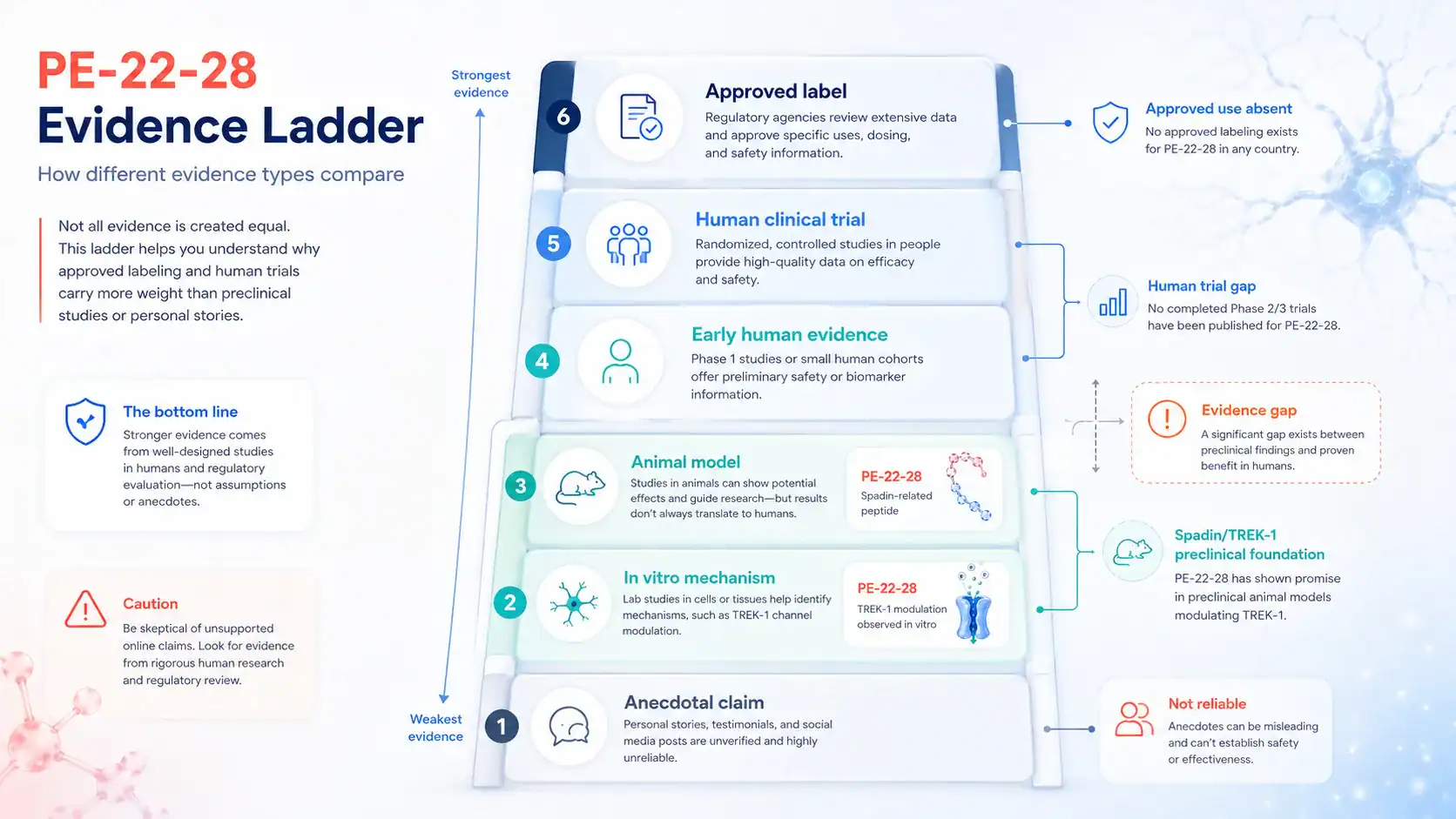 Evidence ladder for PE-22-28 laboratory, animal, and human research