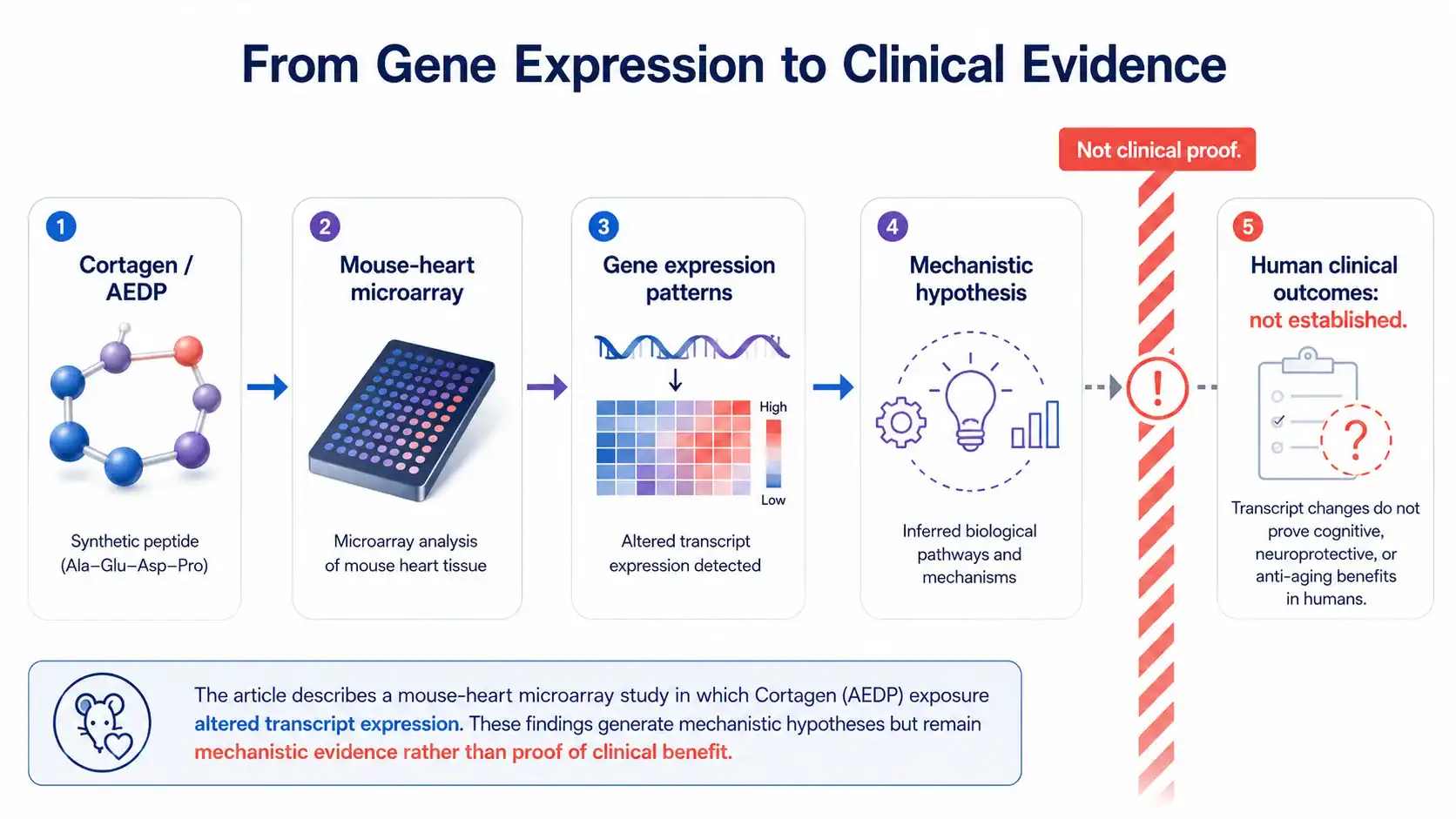 Pathway from Cortagen gene expression findings to clinical evidence
