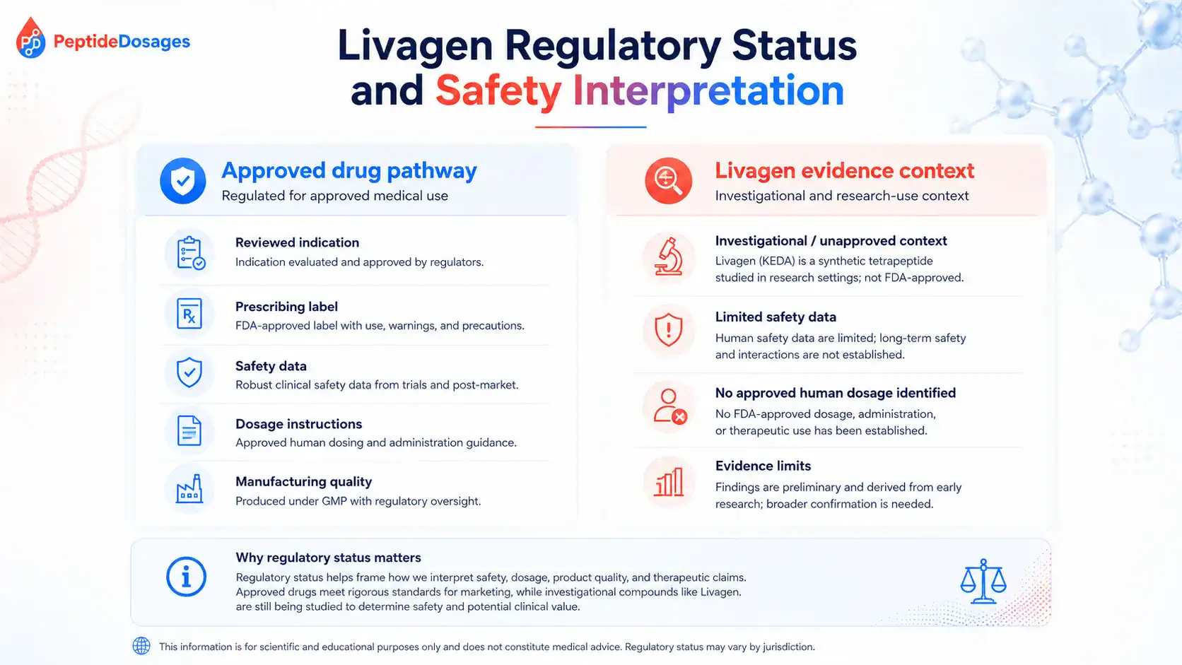 Livagen regulatory status and safety uncertainties