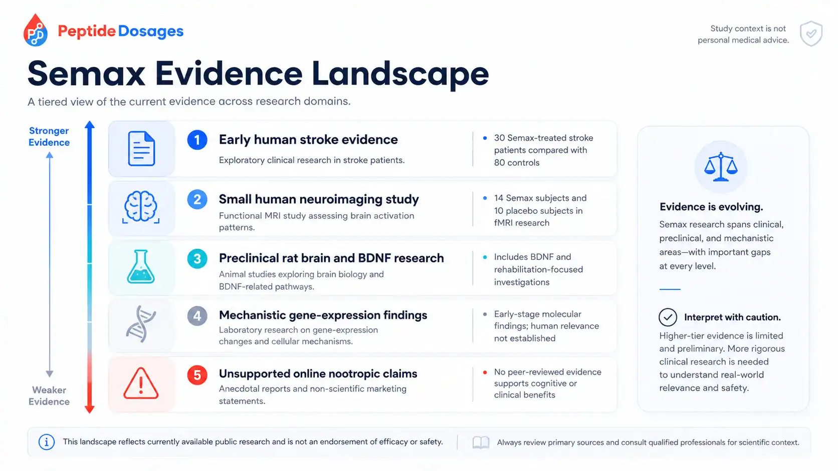 Semax evidence landscape across human, animal, and laboratory studies