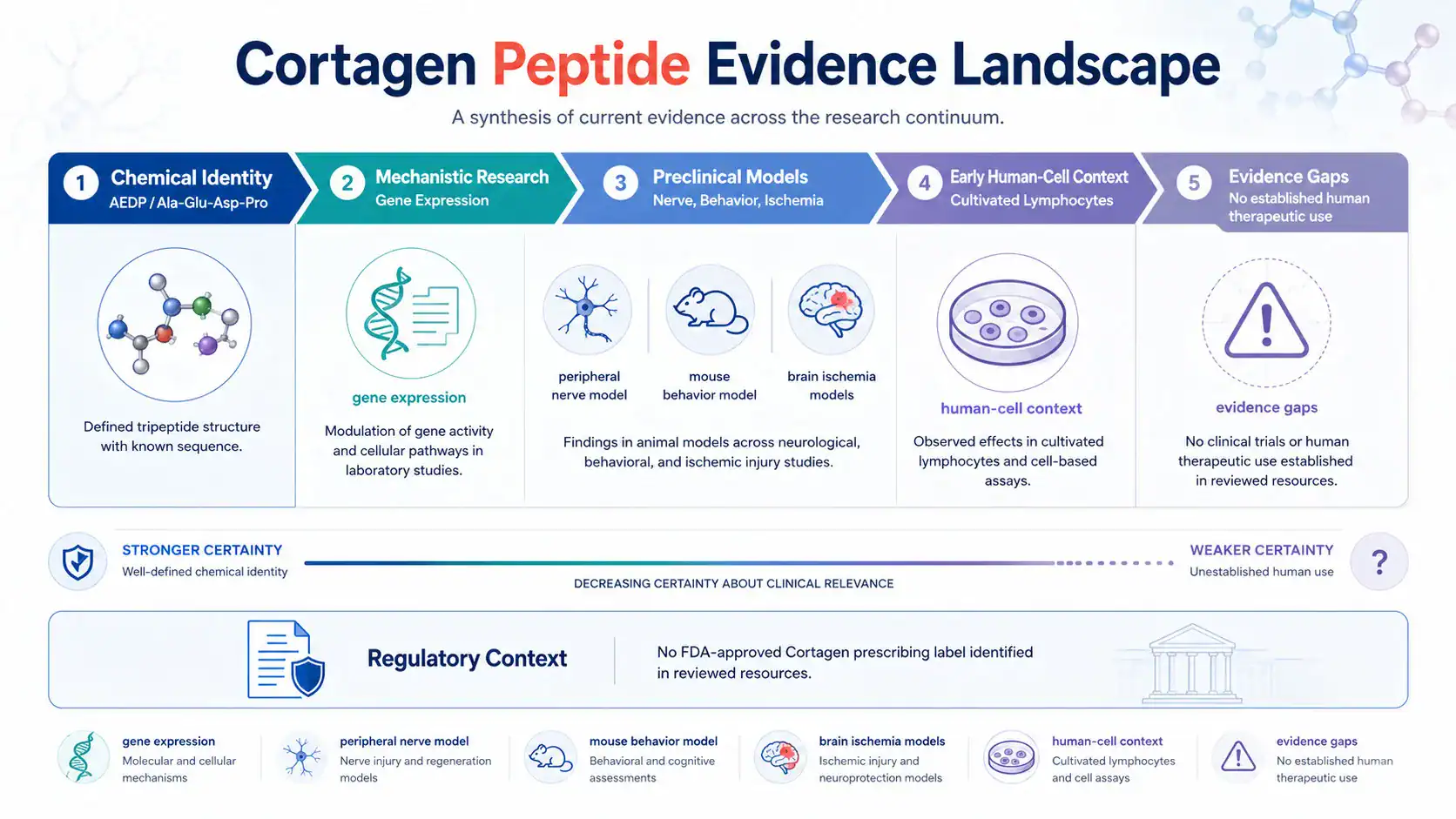 Cortagen evidence landscape across laboratory, animal, and human studies