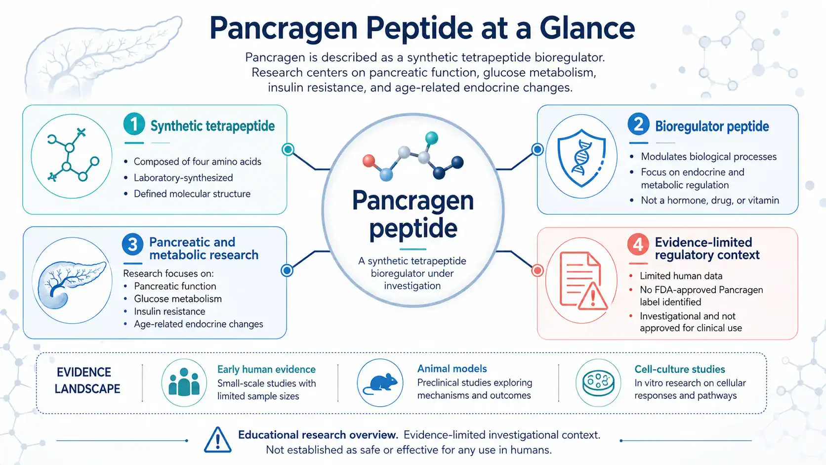 Pancragen peptide identity and pancreatic research overview